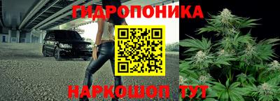 гашиш Кингисепп