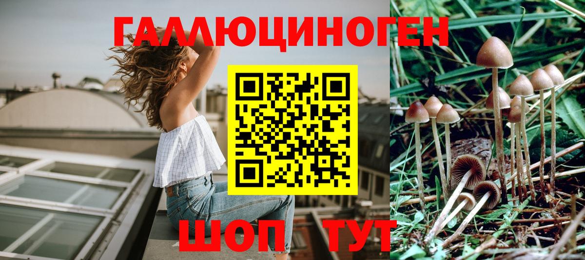 Галлюциногенные грибы MAGIC MUSHROOMS  Вход с VPN  Кохма 